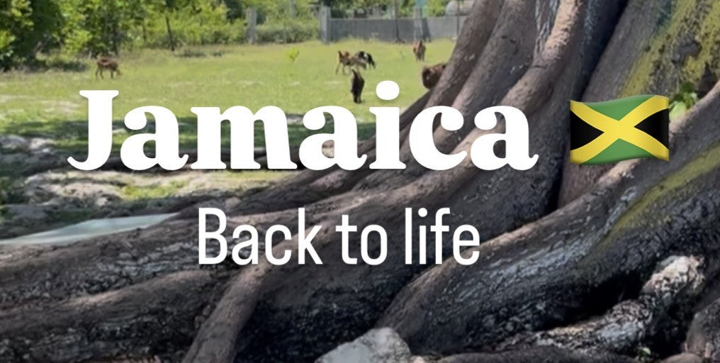 Jamaica: Back to Life