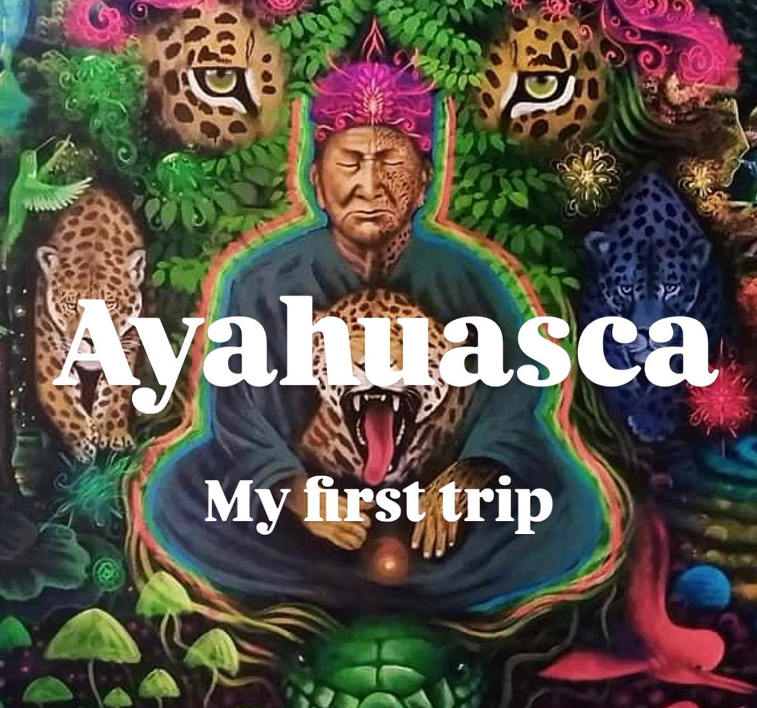 Ayahuasca: My First Trip