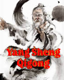 Yang Sheng Qigong with Sifu Jim Roselando
