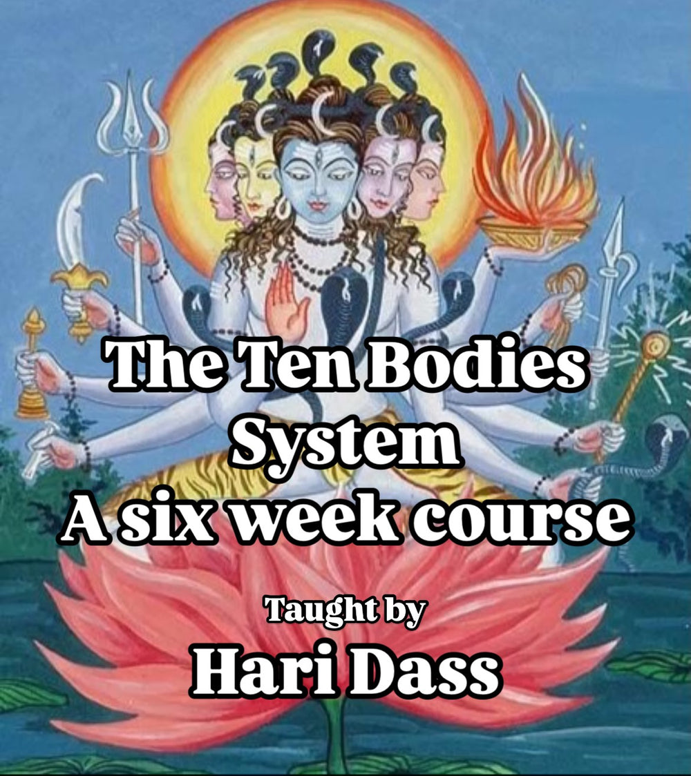 Private Group: The Ten Bodies System