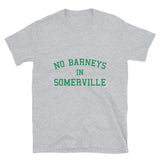 No Barneys in Somerville Gray
