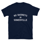 No Barneys in Somerville Blue